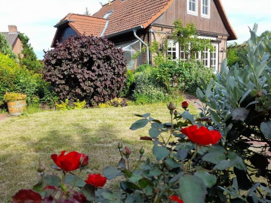 Ferienhaus Gartower See Exteriér fotografie