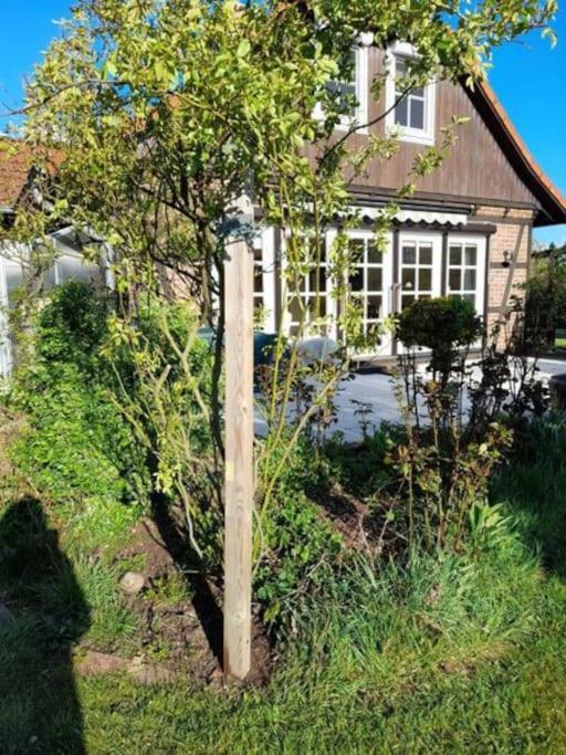Ferienhaus Gartower See Exteriér fotografie