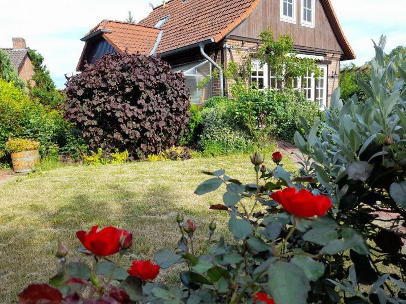 Ferienhaus Gartower See Exteriér fotografie