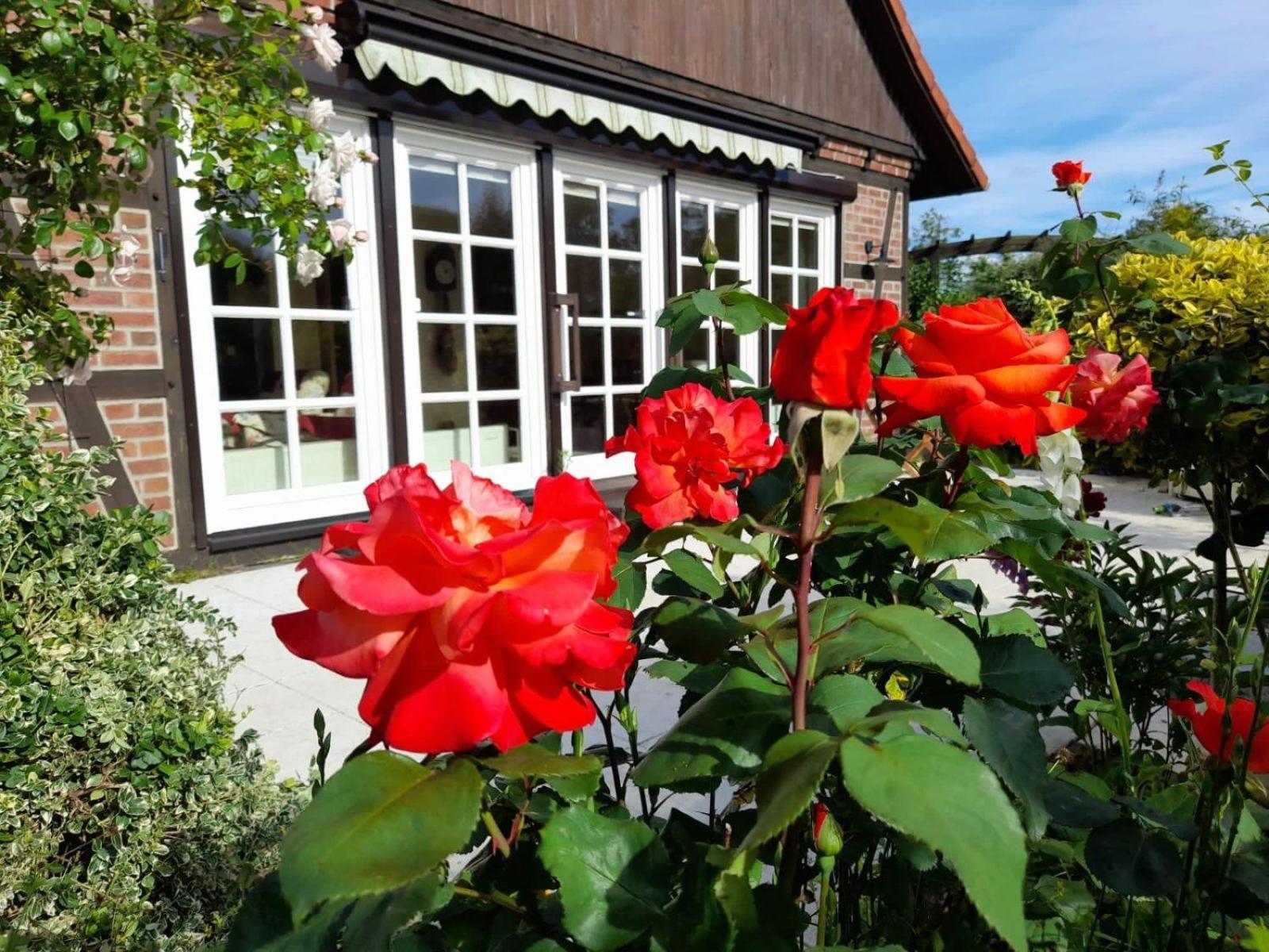 Ferienhaus Gartower See Exteriér fotografie